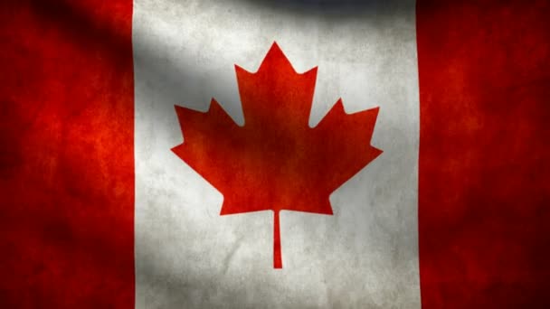 Kanadensisk flagg. — Stockvideo