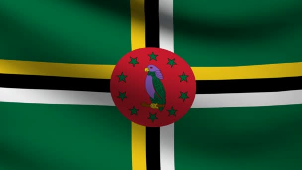 Dominica flag. — Stock Video