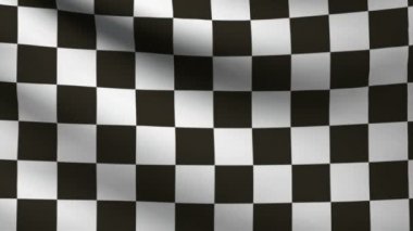 F1 bayrağı.