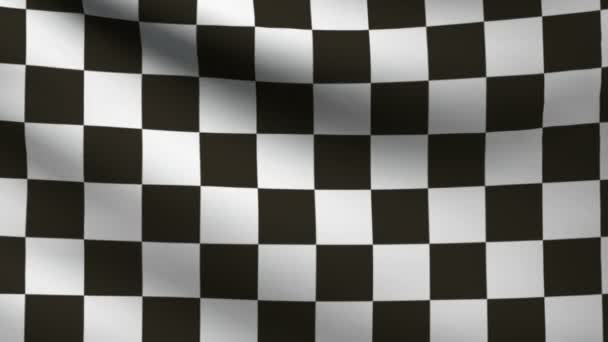 F1 vlag. — Stockvideo