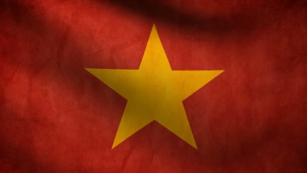 Vietnam flagga. — Stockvideo