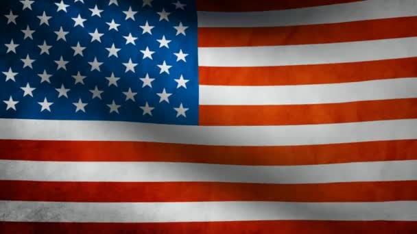 USA vlag. — Stockvideo