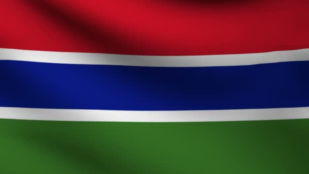 Vlag van Gambia. — Stockvideo