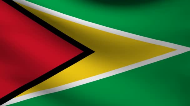 Guyanai zászló. — Stock videók