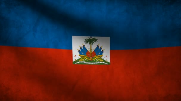 Haitianische Flagge. — Stockvideo