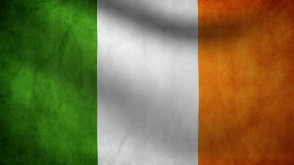 Флаг Ирландии . — стоковое видео