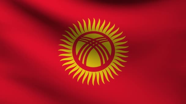 Kyrgyzstan flag. — Stock Video