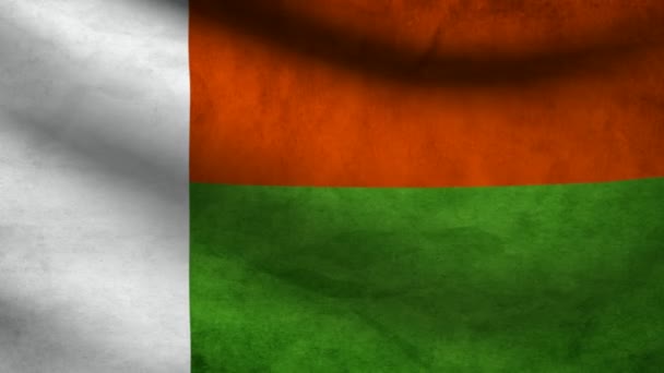 Bandiera del Madagascar . — Video Stock