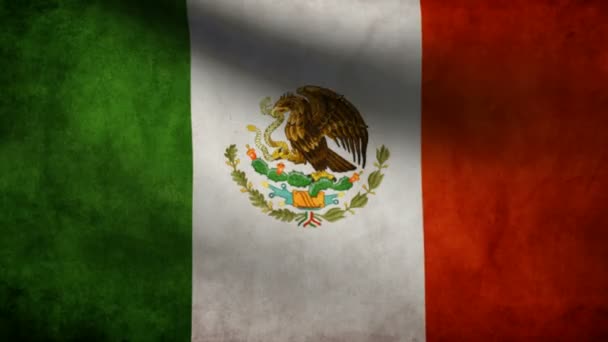 Mexico flag. — Stock Video