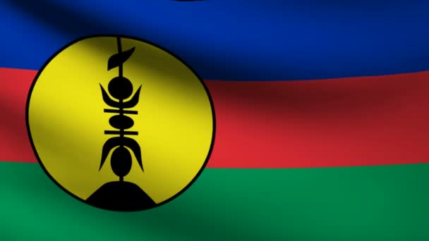 New Caledonia flag. — Stock Video