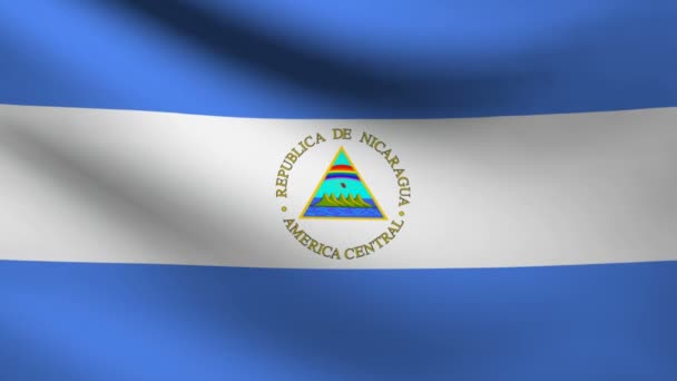 Vlag van Nicaragua. — Stockvideo