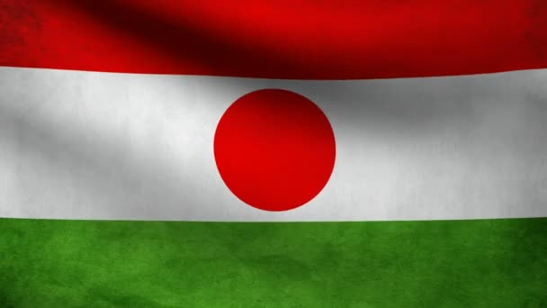 Bandeira do Níger . — Vídeo de Stock
