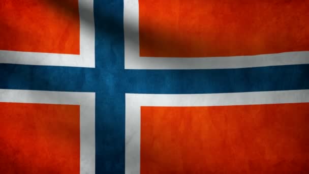 Norges flagga. — Stockvideo