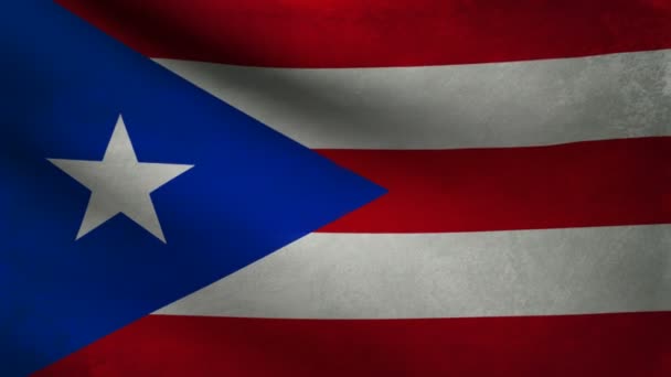 Puerto Rico vlag. — Stockvideo