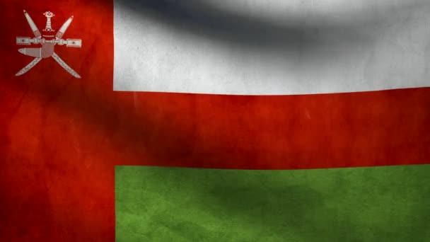 Vlag van Oman. — Stockvideo