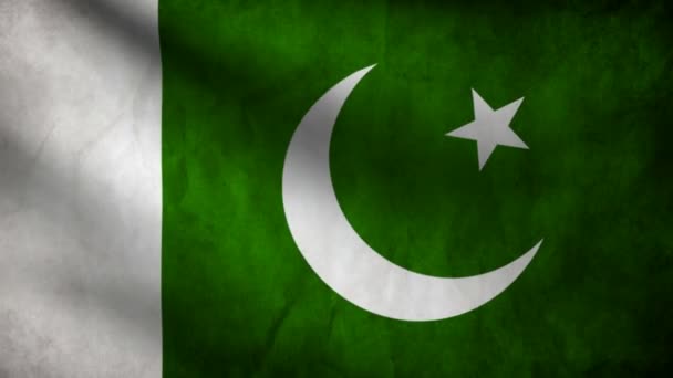 Pakistan flagga. — Stockvideo