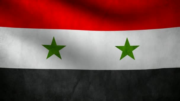 Syrienfahne. — Stockvideo