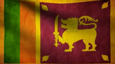 Sri lanka bayrağı.