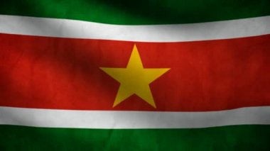 Surinam bayrağı.