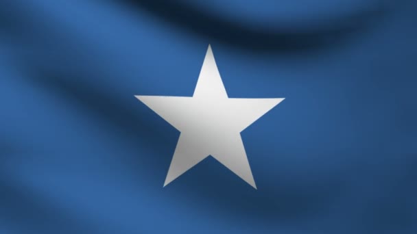 Somalia flagga. — Stockvideo