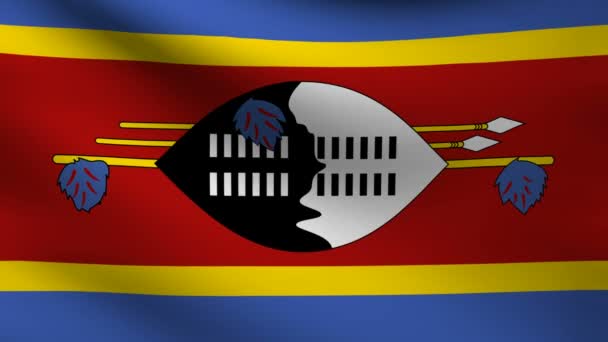 Vlag van Swaziland. — Stockvideo
