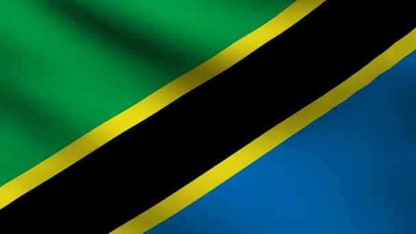 Bandeira da Tanzânia . — Vídeo de Stock