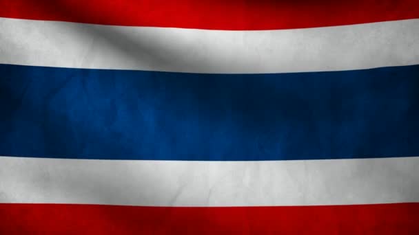 Vlag van Thailand. — Stockvideo