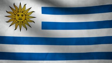 Uruguay bayrağı