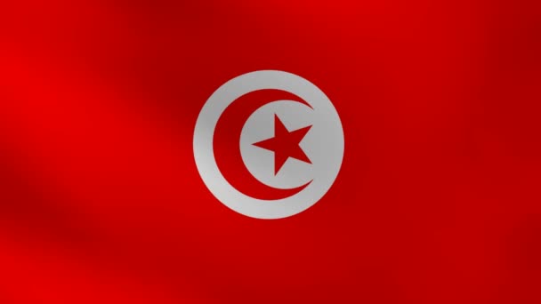 Tunisfahne. — Stockvideo