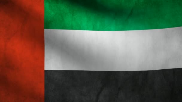 Vereinigte Arabische Emirate Flagge. — Stockvideo