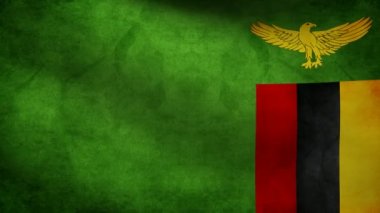 Zambiya bayrağı.