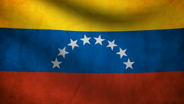 Bandeira da Venezuela. — Vídeo de Stock