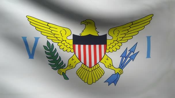 Bandeira das Ilhas Virgens . — Vídeo de Stock