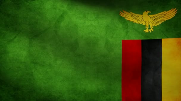 Zambiya bayrağı. — Stok video