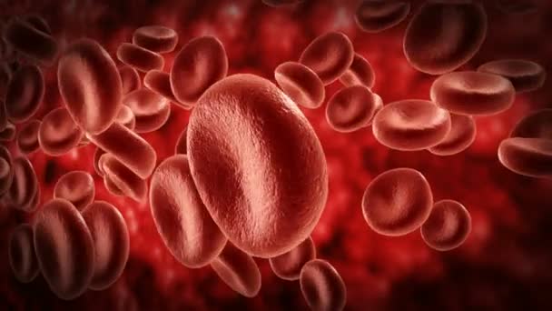 Komórki krwi. — Wideo stockowe