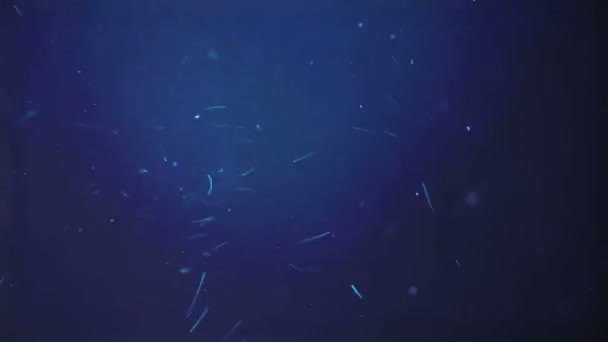 Ocean particles blue background. — Stock Video