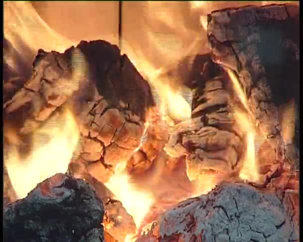 Fuego en la chimenea. — Vídeos de Stock