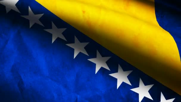 Vlajka Bosny a Hercegoviny. — Stock video