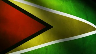Guyana bayrağı.