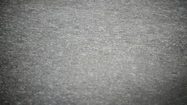 Regn på asfalt. — Stockvideo