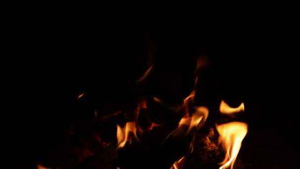 Brandhout branden. — Stockvideo