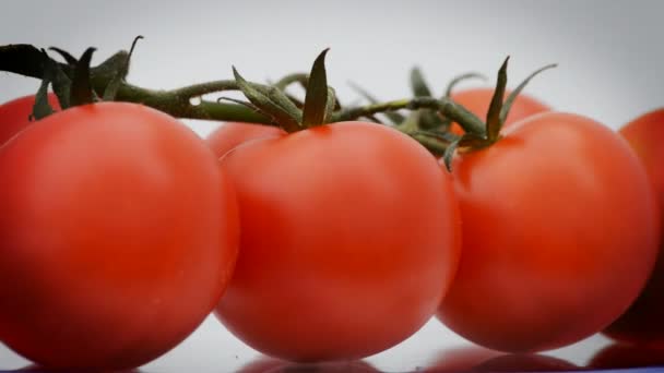 Tomates cereja em rotação, loop — Vídeo de Stock