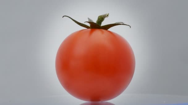 Tomate de cereza girando. Bucle . — Vídeo de stock