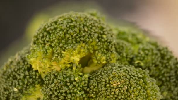 Lazo de brócoli. Primer plano . — Vídeos de Stock