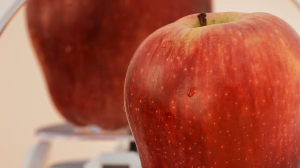 Czerwone jabłko obrotowe. pętli. z bliska — Wideo stockowe