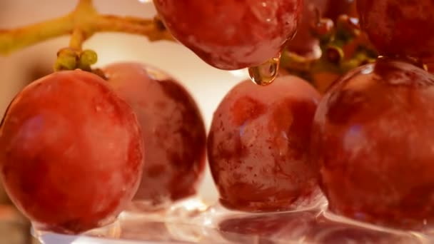 Uvas rojas, de cerca. Bucle — Vídeos de Stock