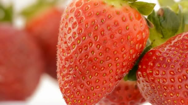 Fraises tournantes. Ferme là. Boucle . — Video