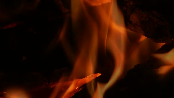 Flammes lentes, combustion du bois . — Video