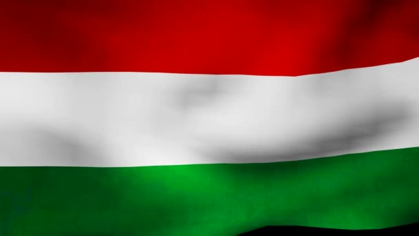 Ungarische Flagge — Stockvideo