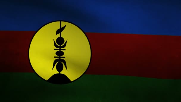 Bandera de Nueva Caledonia — Vídeos de Stock